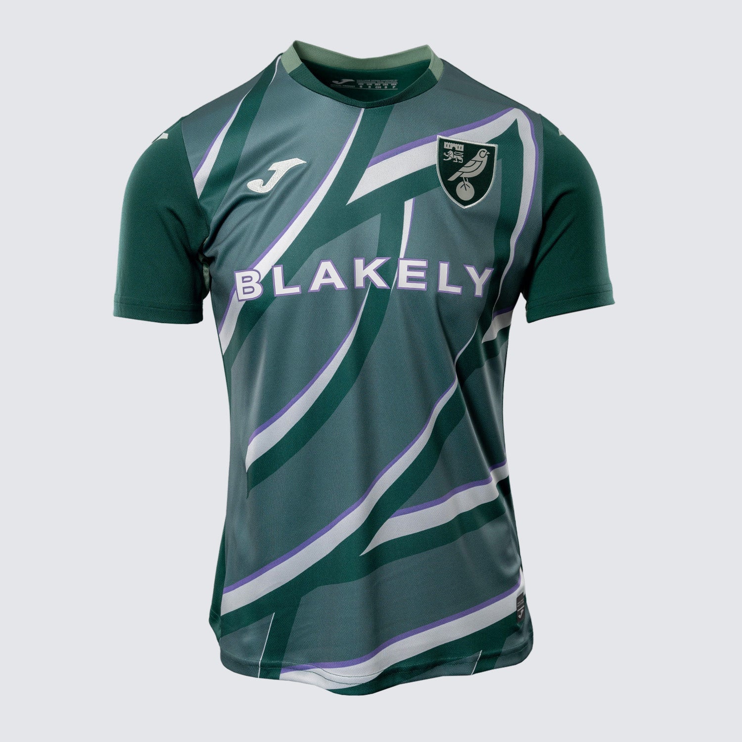 Norwich 25/26 II Away Jersey - Fan Version
