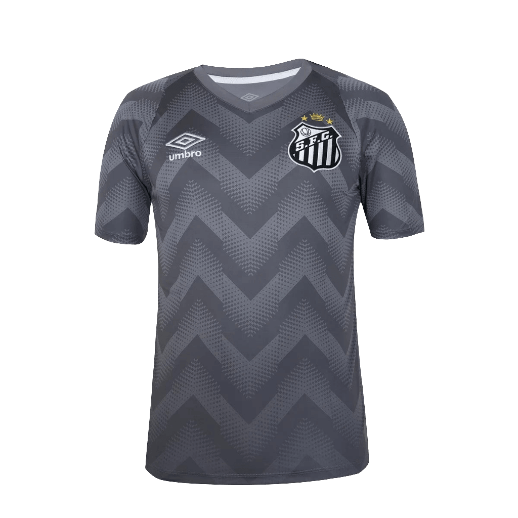 Santos 24/25 Goalkeeper Jersey - Gray - Fan Version