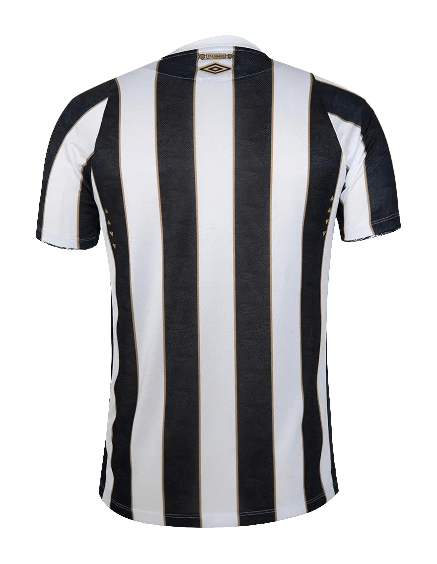 Santos 24/25 II Away Jersey - Fan Version